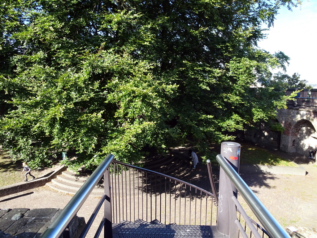 Miaomiao and Max at the Burcht van Leiden castle, viewed from the top of the staircase to the ramparts