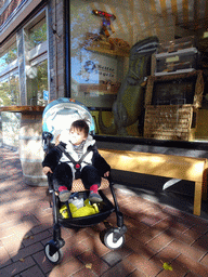 Max in front of a dinosaur toy in the window of the Better Bagels bakery, at the Lange Mare street