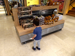 Max at the souvenir shop at the Ground Floor of the Naturalis Biodiversity Center