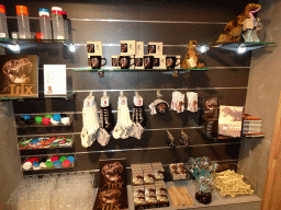 Souvenirs for the Tyrannosaurus Rex `Trix` at the souvenir shop at the Ground Floor of the Naturalis Biodiversity Center