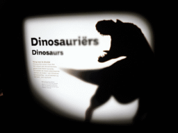 Information on the Dinosaur Age exhibition at the Third Floor of the Naturalis Biodiversity Center