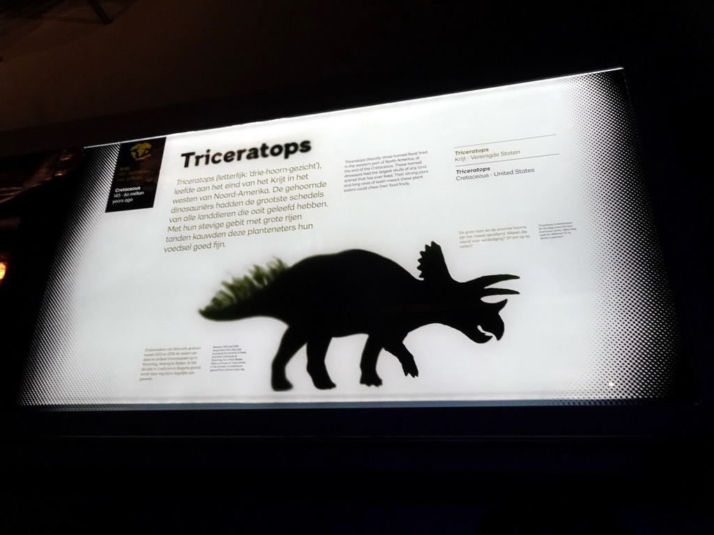 Explanation on the Triceratops at the Dinosaur Age exhibition at the Third Floor of the Naturalis Biodiversity Center