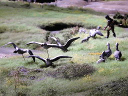 Bird statuettes at the Ice Age exhibition at the Fifth Floor of the Naturalis Biodiversity Center