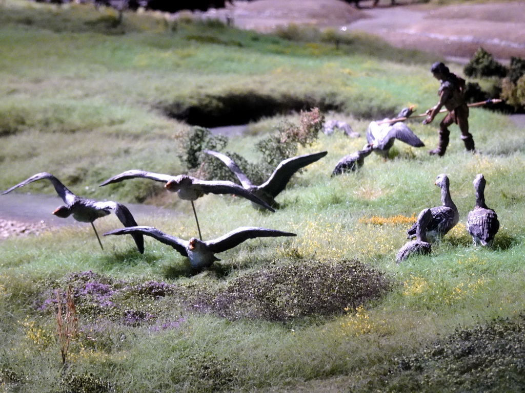 Bird statuettes at the Ice Age exhibition at the Fifth Floor of the Naturalis Biodiversity Center