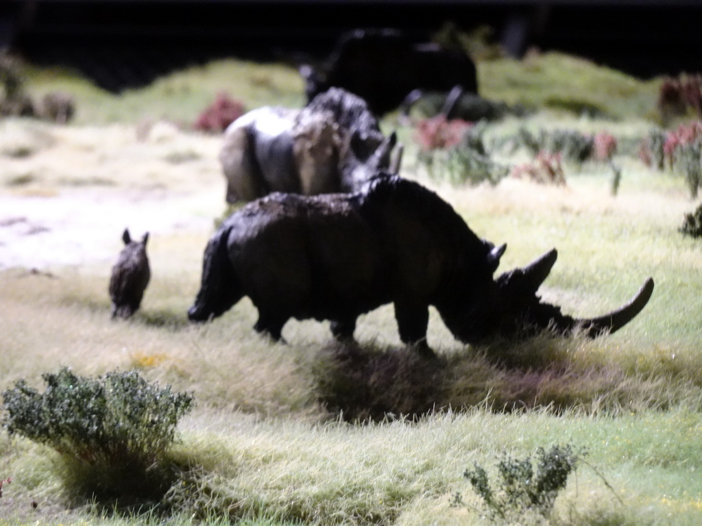 Rhinoceros statuettes at the Ice Age exhibition at the Fifth Floor of the Naturalis Biodiversity Center