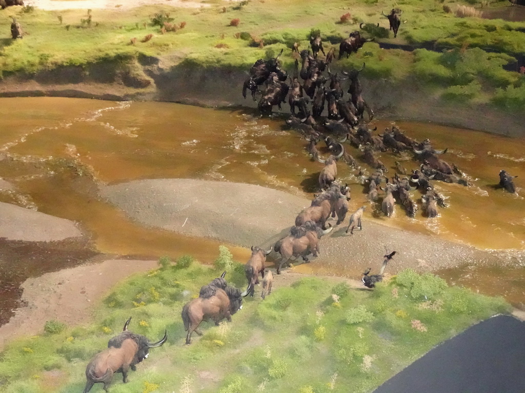 Bison statuettes at the Ice Age exhibition at the Fifth Floor of the Naturalis Biodiversity Center