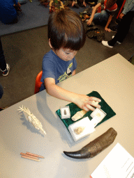 Max playing with dinosaur teeth at the Workshop at the Fifth Floor of the Naturalis Biodiversity Center