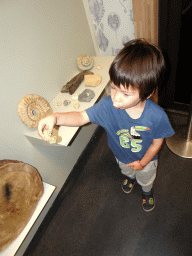 Max playing with fossils at the Workshop at the Fifth Floor of the Naturalis Biodiversity Center