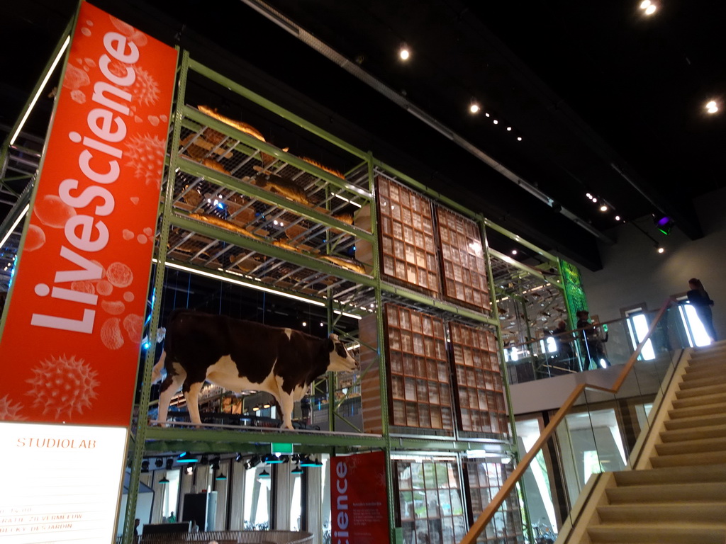 Interior of the LiveScience exhibition at the Ground Floor of the Naturalis Biodiversity Center