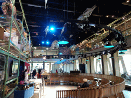 Interior of the LiveScience exhibition at the Ground Floor of the Naturalis Biodiversity Center