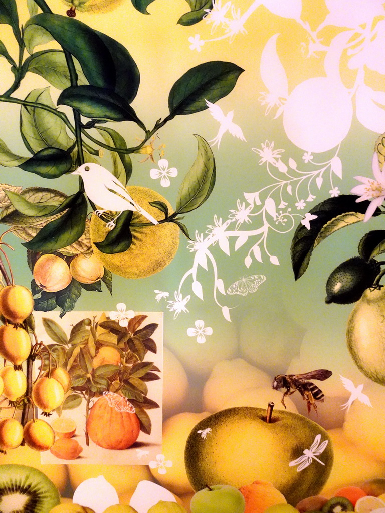 Wallpaper at the Ground Floor of the Naturalis Biodiversity Center