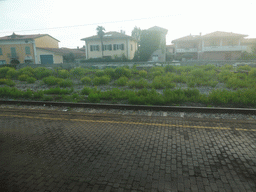 The Massa railway station, viewed from the train from Pisa