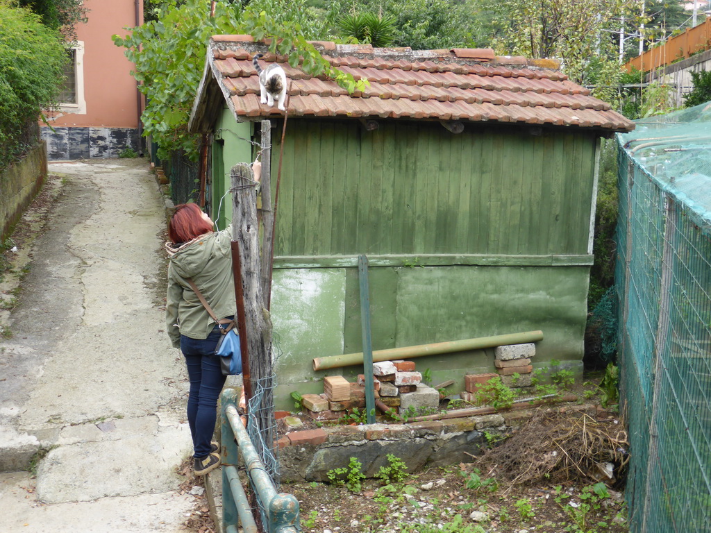 Miaomiao with a cat on a shed near the Levanto railway station