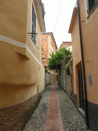 Alley near the Piazza del Popolo square