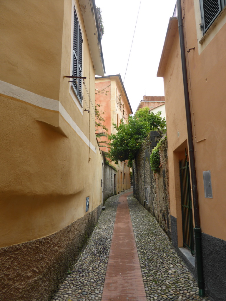 Alley near the Piazza del Popolo square