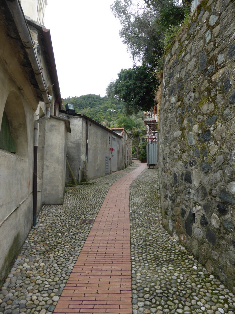 Road leading from the Chiesa di Sant`Andrea church to the Levanto Castle