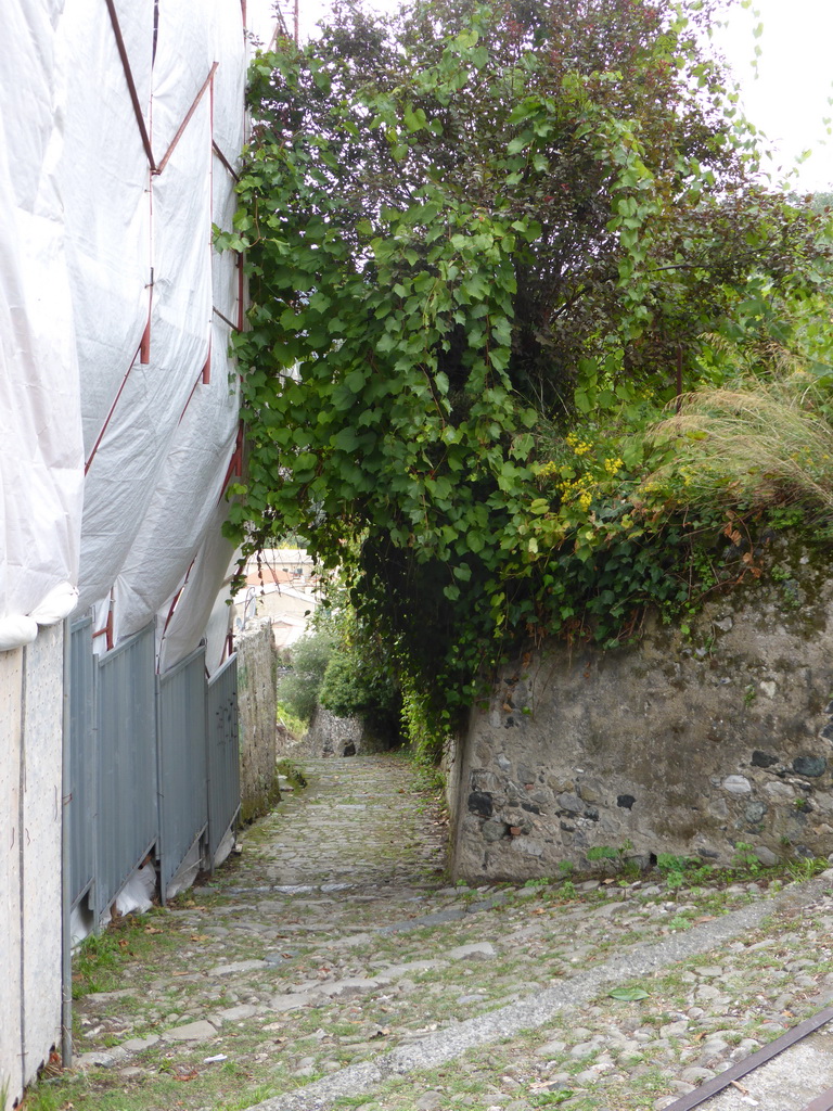 The path along the City Wall