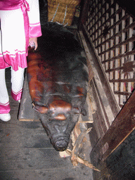 Seat made from a pig, in a Minority Village near Lijiang