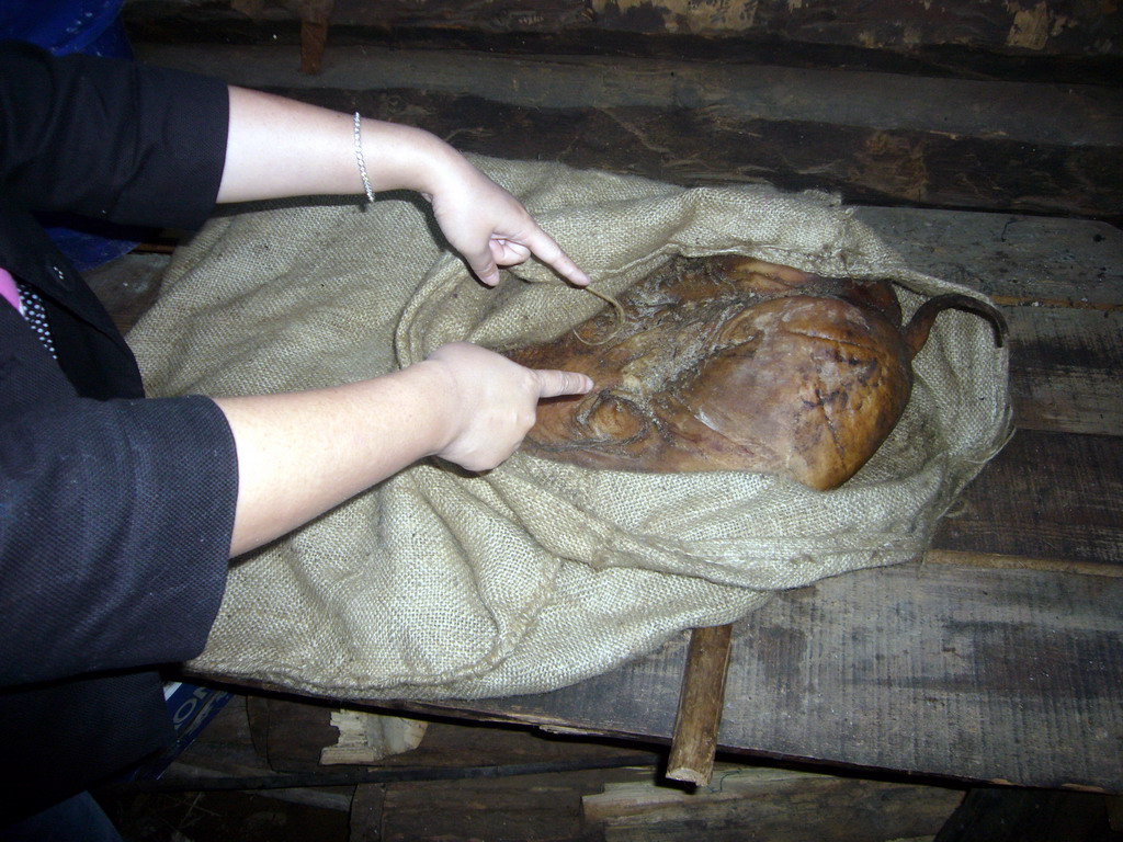 Miaomiao with a dead pig, in a Minority Village near Lijiang