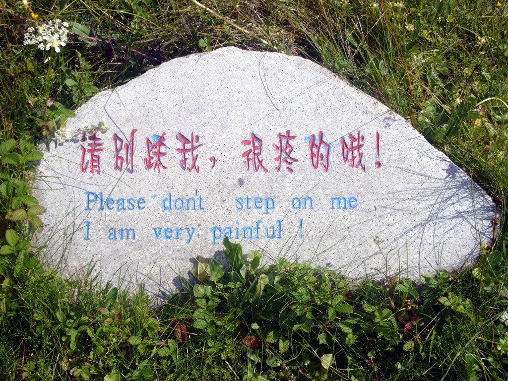 Chinglish sign in Jade Water Village
