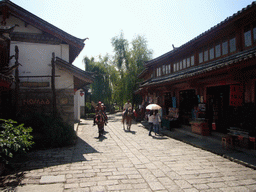 Horses in the Old Town of Shuhe