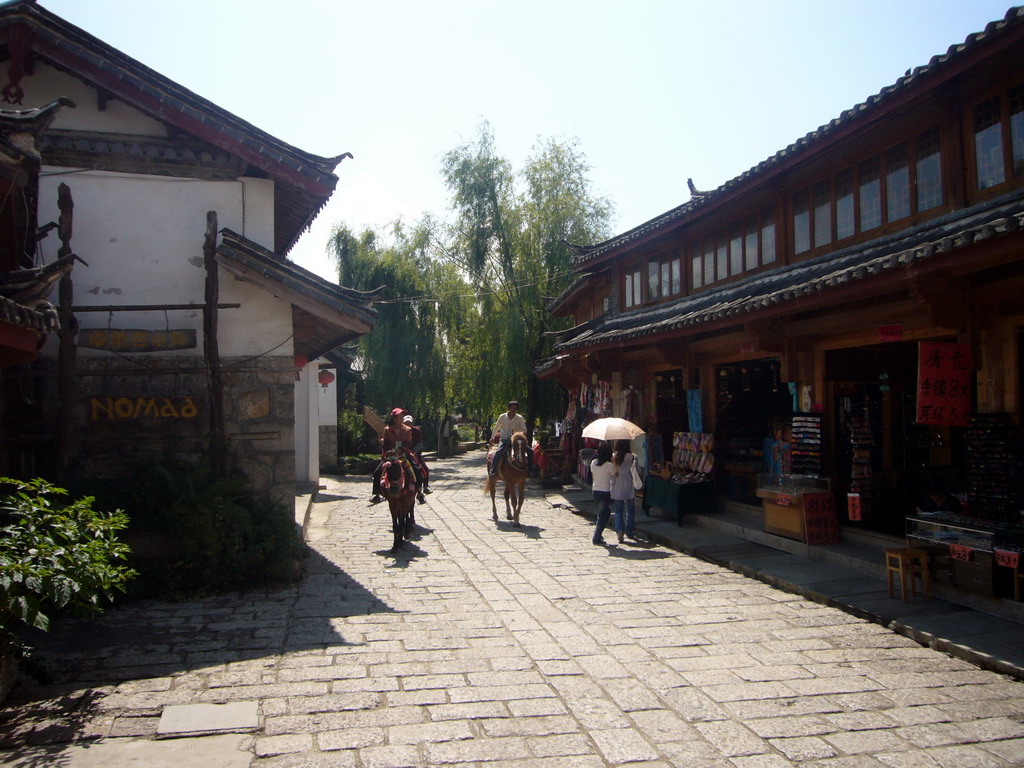 Horses in the Old Town of Shuhe