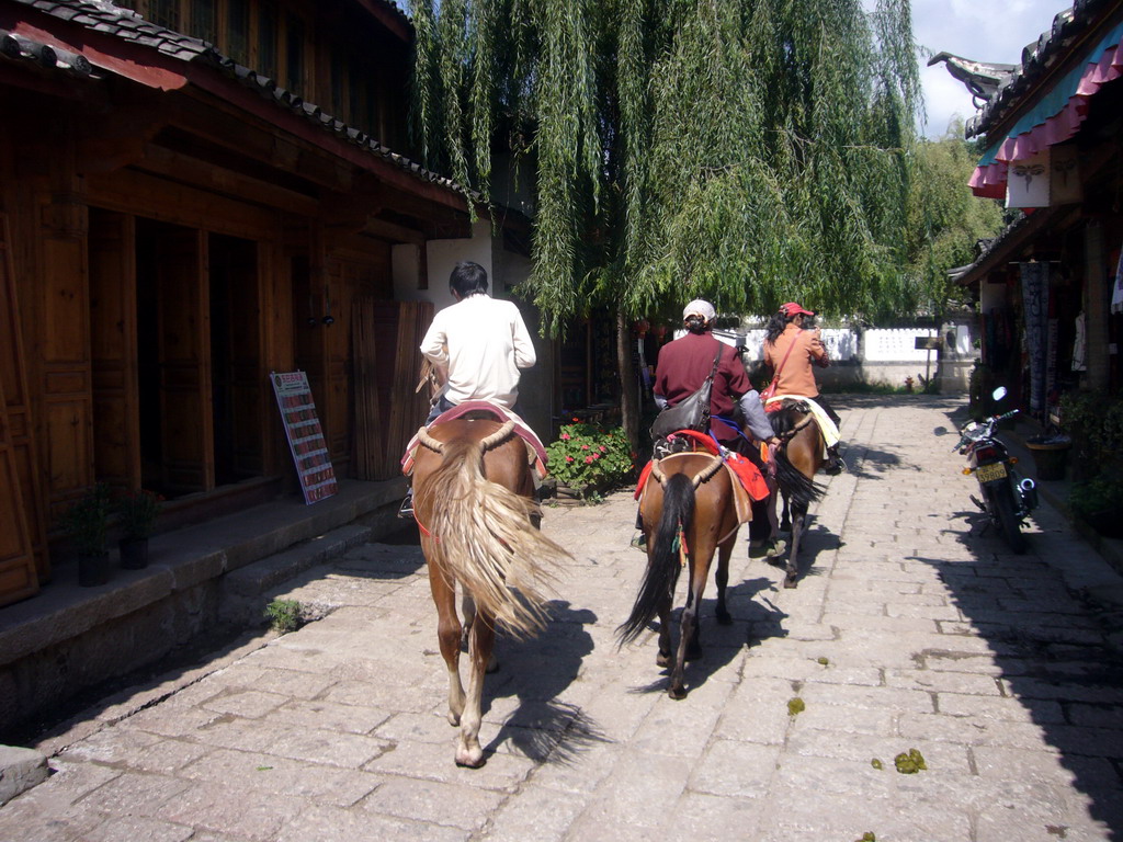 Horses in the Old Town of Shuhe