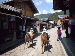 Horses in the Old Town of Shuhe