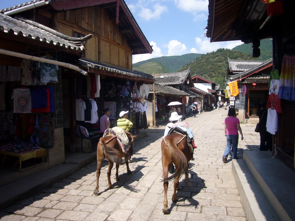 Horses in the Old Town of Shuhe