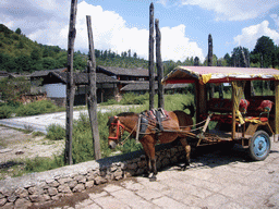Horse with carriage and houses in the Old Town of Shuhe