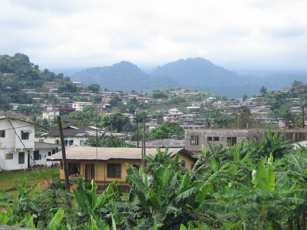 Houses near the city center