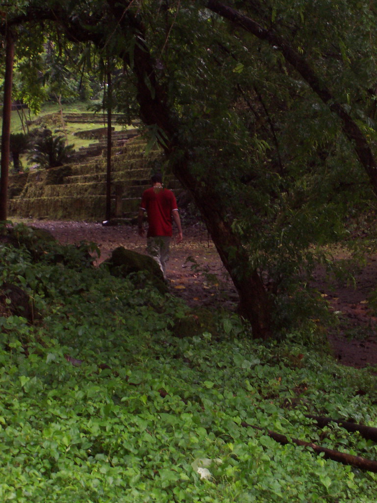 Tim at the Limbe Botanic Garden