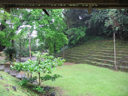 Grandstand at the Limbe Botanic Garden