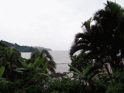 The Atlantic Ocean, viewed from the Limbe Botanic Garden