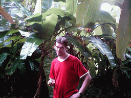 Tim with a plant at the Limbe Botanic Garden