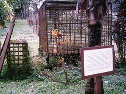 Cages from the time the Limbe Wildlife Centre was called the Victoria Zoo, with explanation