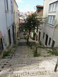 Staircase at the Rua da Hera street