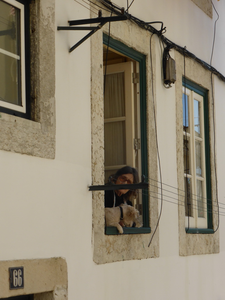 Woman with dog hanging from a window at the Rua de Bica de Duarte Belo street