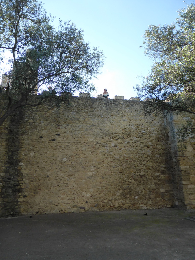 Miaomiao on top of the western wall of the São Jorge Castle, viewed from below