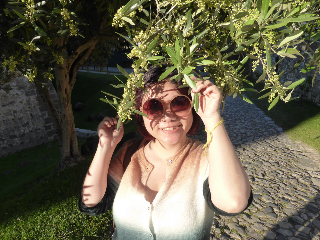 Miaomiao with a tree at the path around the São Jorge Castle