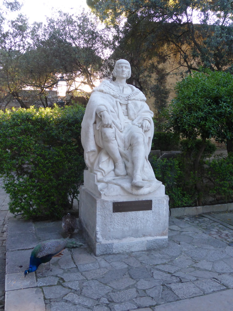 Statue of King Manuel I and peacocks at the gardens of the São Jorge Castle