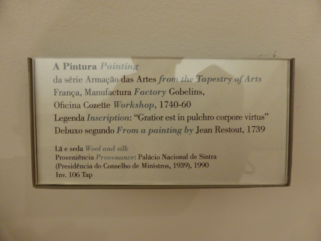 Explanation on the tapestry `Painting` from a painting by Jean Restout, at the first floor of the Museu Nacional de Arte Antiga museum
