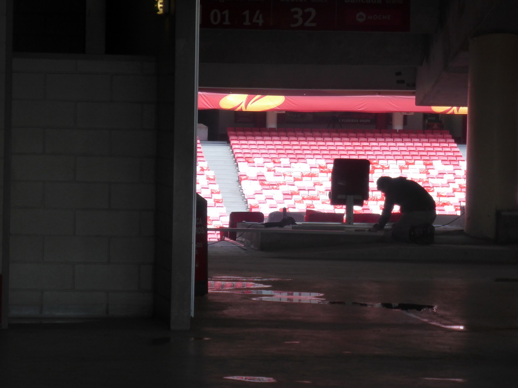 Interior of the Estádio da Luz soccer stadium