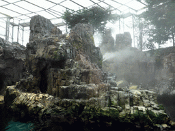 Rock with puffins at the surface level of the North Atlantic habitat at the Lisbon Oceanarium