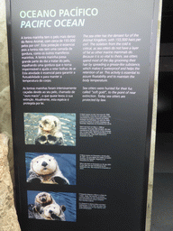 Information on the Alaskan sea-otters at the surface level of the Temperate Pacific habitat at the Lisbon Oceanarium