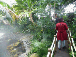 Miaomiao at the surface level of the Tropical Indian habitat at the Lisbon Oceanarium