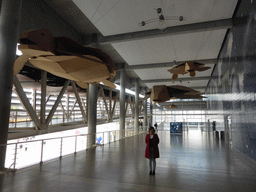 Miaomiao with wooden models of sea turtles hanging over the main walkway at the Lisbon Oceanarium