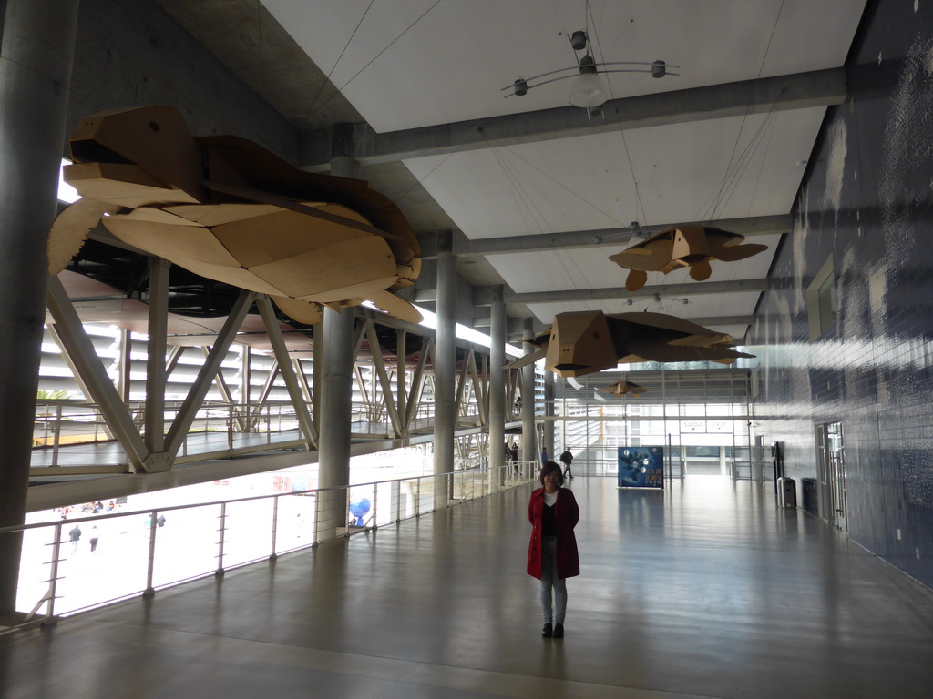 Miaomiao with wooden models of sea turtles hanging over the main walkway at the Lisbon Oceanarium