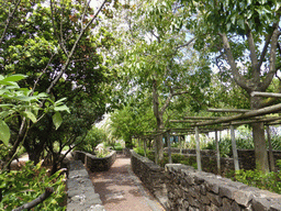 The Jardins Garcia de Orta gardens at the Parque das Nações park