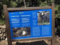 Information on forest protection at Lokrum Island